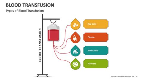 Blood Transfusion Powerpoint And Google Slides Template Ppt Slides