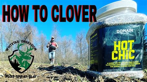 How To Plant A Clover Food Plot Youtube