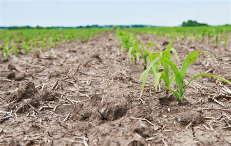 Declaran La Emergencia Agropecuaria En Municipios Afectados Por La