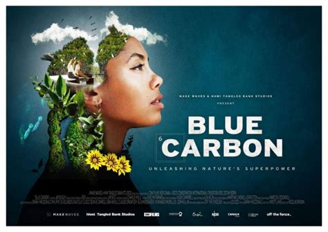 Blue Carbon: Nature’s Hidden Power | KALW