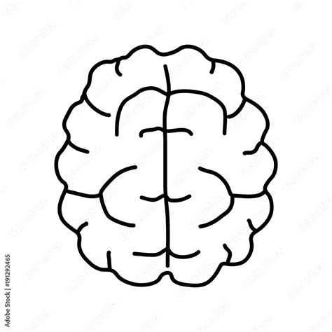 Brain Black And White Vector