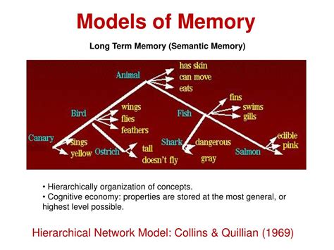 Ppt Memory And Recall Powerpoint Presentation Free Download Id744805