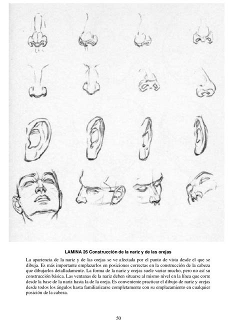 Andrew loomis dibujo de cabeza y manos español Andrew Loomis Basic