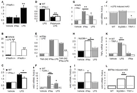 Lps Induces Ma In An Ifn R Independent But Tlr Dependent Manner A