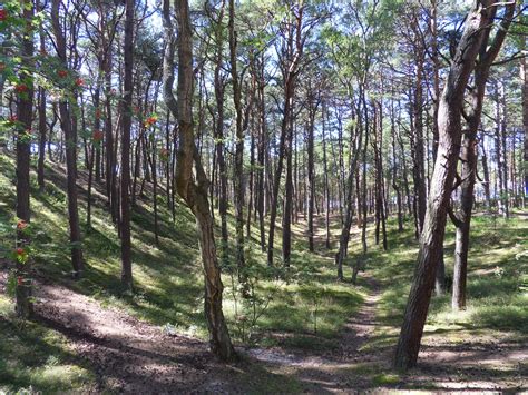 Park Krajobrazowy Gór Sowich 5