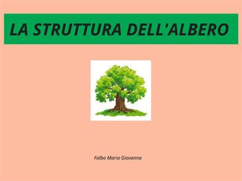 Book Creator La Struttura Dell Albero