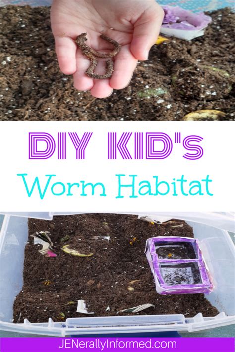 DIY Kid's Worm Habitat - Jenerally Informed