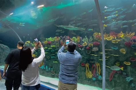 Acuario Michin Abre Sus Puertas En Cdmx Conoce Precio Horario Y Especies