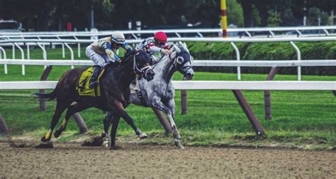 Les Meilleurs Pronostics Gratuits Du Pmu Pour La Presse Hippodromes