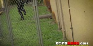 Hardcore Interracial Sex Outdoors With Black Fugitive Tnaflix