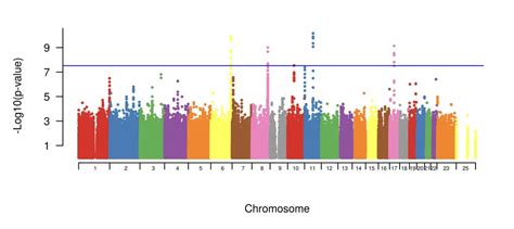 An Introduction To Genome Wide Association Study Gwas