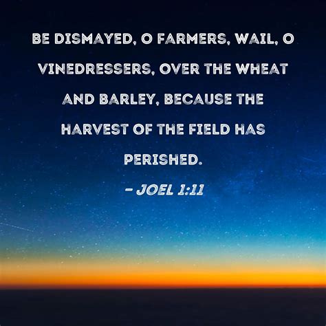 Joel 1:11 Be dismayed, O farmers, wail, O vinedressers, over the wheat