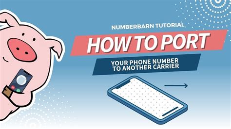 ImPORTant Details About Number Porting NumberBarn Porting Tutorial