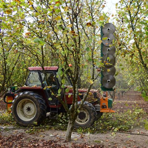 Schneidemaschine F R Obstbaumkultur Cosmos T Coup Eco