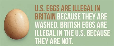 Nigeria has more english speakers than the united kingdom | The Fact Base