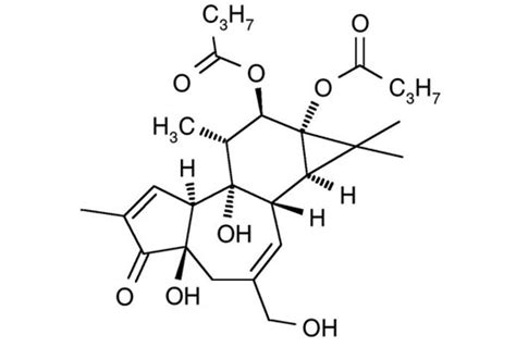 Pdbu Phorbol Dibutyrate Cell Signaling Technology