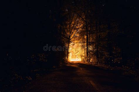 Night Road On Dark Forest Street Lights In The Background Stock Image