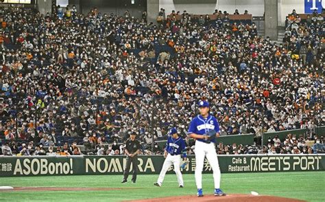 満員の観客でスポーツ界どうなる？ 選手は「良くなる人も悪くなる人も」チームや地域は？：東京新聞デジタル