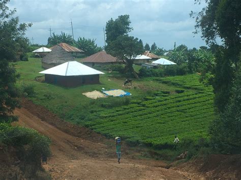 Talent Innovation Foundation (previously, called Rafiki program)-Kenya