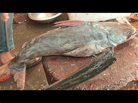 Amazing Huge Rita Fish Cutting Live In Fish Market Big Catfish