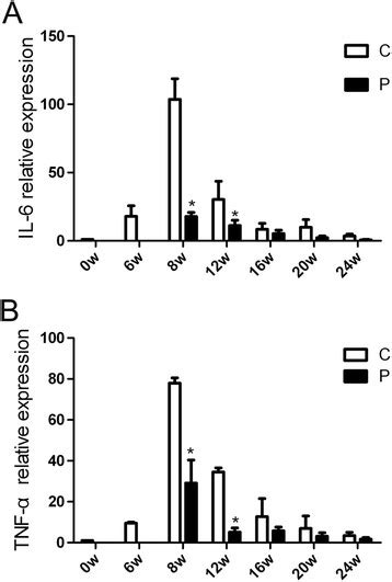 Gene Expression Of Pro Inflammatory Cytokines Tnf α And Il 6 In The