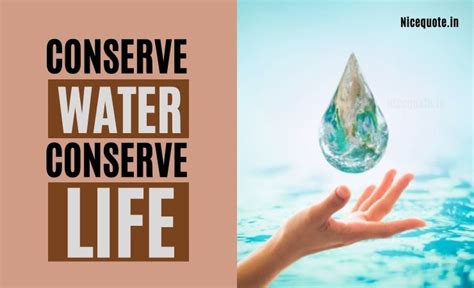 50 World Best Slogans On Save Water And Save Water Quotes June 2024