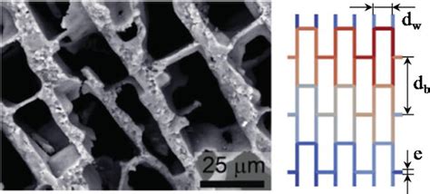 Mechanical Properties Of Porous Ceramics Intechopen