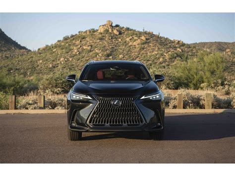 2023 Lexus NX: 79 Exterior Photos | U.S. News