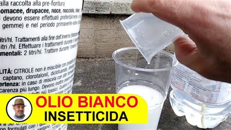 Come Usare L Olio Bianco Contro La Cocciniglia Dosi Consigliate