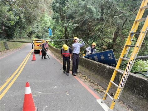 小犬來襲》日月潭公路多處樹倒 壓壞電線、纜車站路牌 生活 自由時報電子報