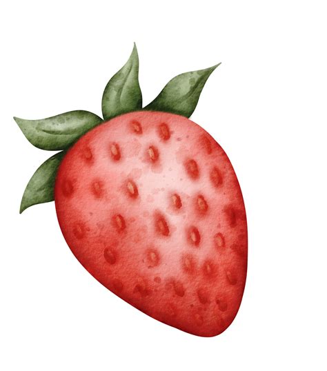 Watercolor Strawberry Hand Drawn Png