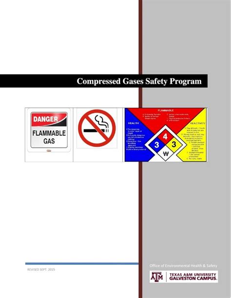 Pdf Compressed Gases Safety Program All Permanent Installations Of Compressed Gases Must