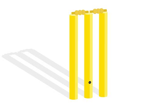 cricket wicket vector  vector art  vecteezy