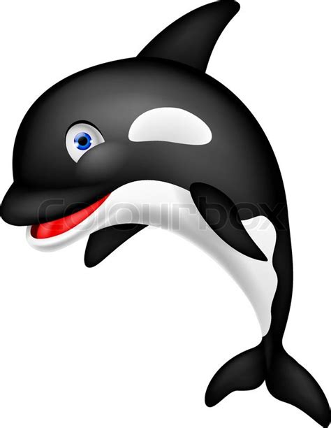 Orca cartoon | Stock Vector | Colourbox