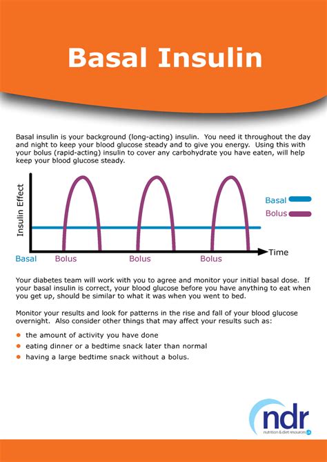 Basal Insulin