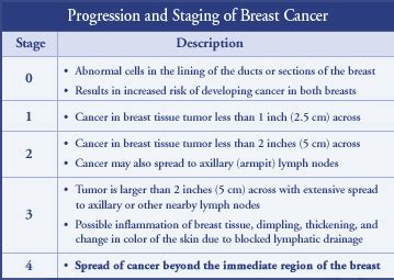 Breast Cancer Tumor Staging Chart A Visual Reference Of Charts Chart