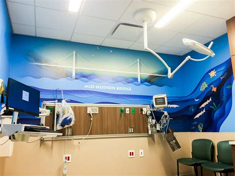 Redesigned Pediatric ER at Vassar Brothers Medical Center - Enhance a ...