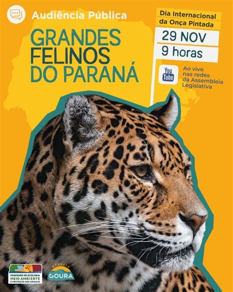 Deputado Goura Promove Audi Ncia P Blica Sobre Grandes Felinos Do