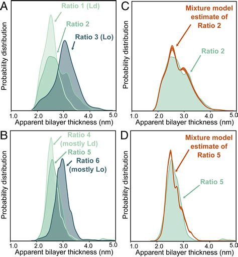 Direct Imaging Of Liquid Domains In Membranes By Cryo Electron