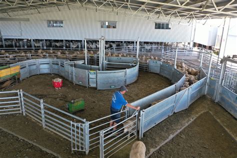 Top 5 Features Of Custom Sheepyards Proway