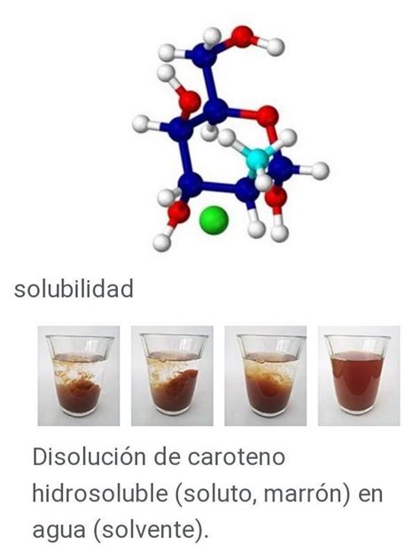 Que Ocurre Si Un Soluto Pierde Solubilidad En Su Solvente Brainly Lat