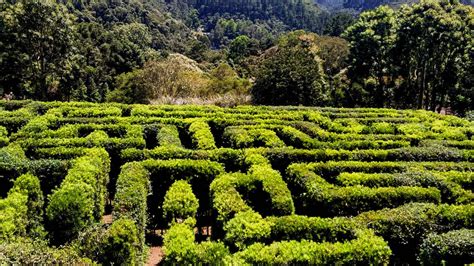 10 atividades para fazer em Campos do Jordão durante o verão Lapada