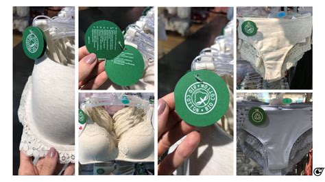 A SUSTENTABILIDADE SÓ CRESCE NO LINGERIE Catchwalk