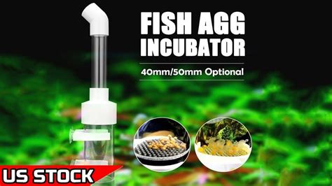 aquarium fish egg tumblers hatchery incubators cichlid egg incubator