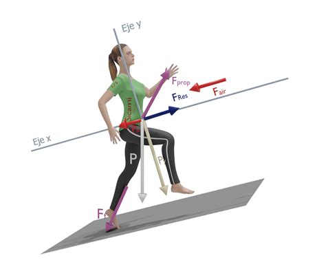 Fuerzas Al Andar O Correr Física Andando Y En La Carrera A Pie