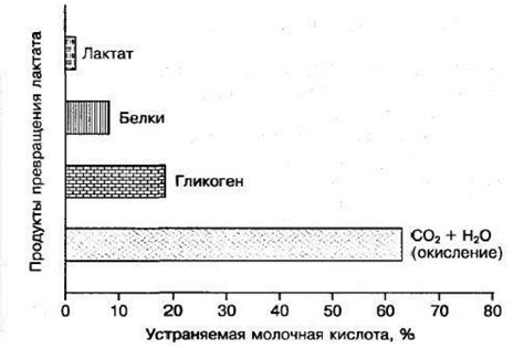 10 фактов о молочной кислоте » Легкая атлетика - Мир легкой атлетики