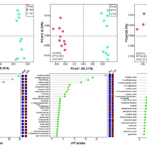 Comparison Between The Serum Metabolome Of The Control Con Model