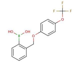 Trifluoromethoxy Phenoxy Methyl Phenylboronic Acid Cas