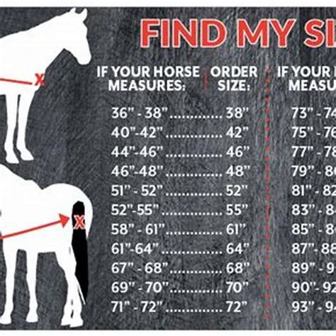 What Size Horse Blanket Does My Horse Need Diy Seattle