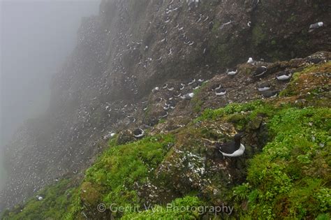 Bering Sea Islands | Gerrit Vyn Photo